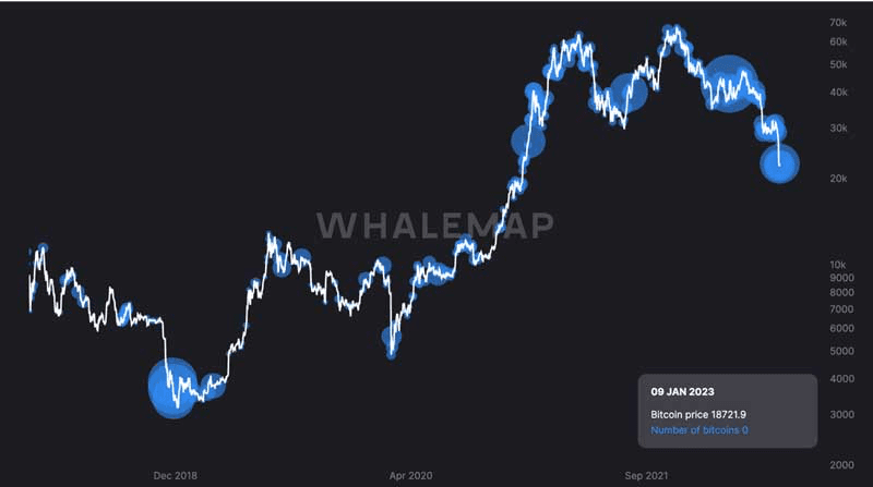 fundamental analisys crypto